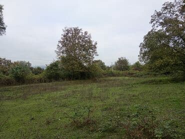 kreditle torpaq alqi satqisi: Tikinti — 5