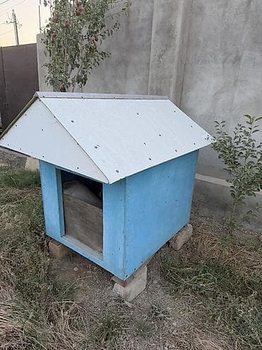 İt evi – taxta konstruksiyalı, ikitərəfli maili damlı - Material — 2