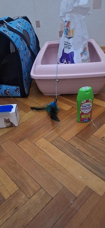 ov it: Pişik üçün tam dəst - Yumşaq, dam formalı pişik evi – isti, rahat və — 4