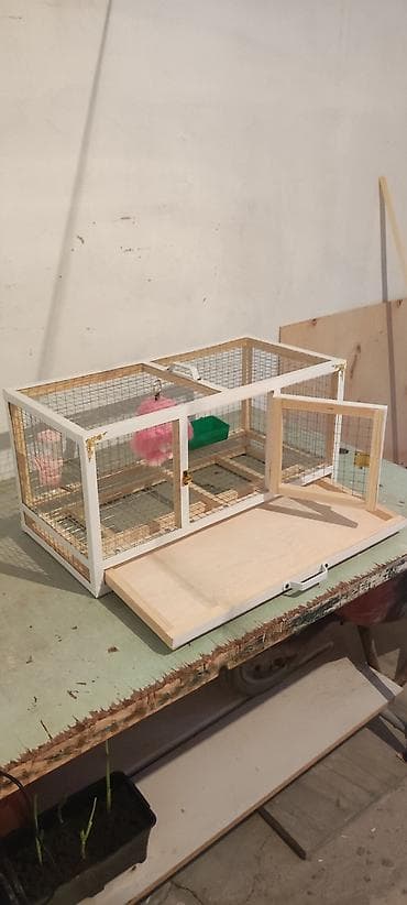 cucə yem qabı: Dovşan,cücə,pişik,hamster,quş ve s kimi ev heyvanlari üçün qəfəsler — 3