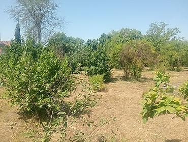 turkanda torpaq satılır: 10 sot, Tikinti, Mülkiyyətçi — 5