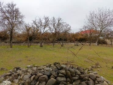 oguz torpaq satilir: 12 sot, Mülkiyyətçi, Bələdiyyə — 1