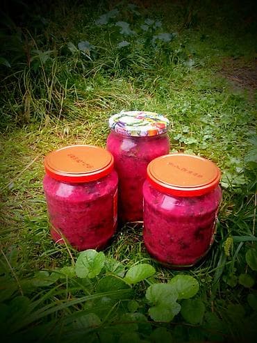 ev qapllar: Zoğal döyməci 🌿 🏞️ Şəki rayonunda ev şəraitində hazırlanıb 💯 % təbii — 1