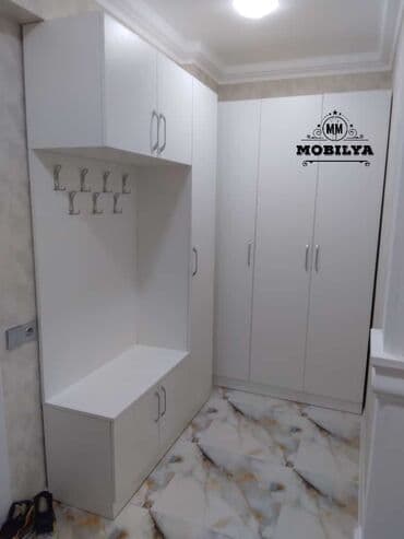 qapı modelleri: Yeni, Açılan, Düz dolab, Dəhliz dolabı, Azərbaycan — 1