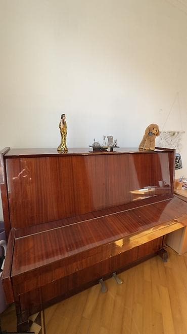 Kuban pianino Ev, musiqi məktəbi və məşq otaqları üçün klassik