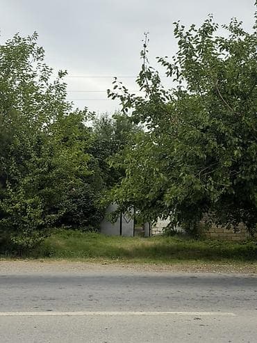 Продажа дач: 25 соток, Собственник, Купчая — 2