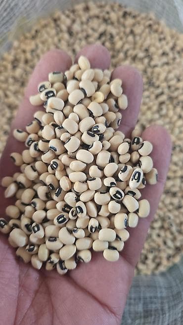 Quru paxlalı paketləri – çeşidli məhsullar Məhsul tərkibi: - Qara