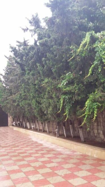 heyet evi mastaga: Bilgəh qəs., 200 kv. m, 4 otaqlı — 21