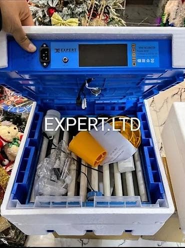 Kənd təssərüfatı avadanlığı: 300 yumurta, Çin, Fabrik istehsalı, Tam avtomat, Bütün növ quşlaq üçün — 7