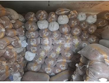 qedimi xalca satiram: Salam. Topdan satışdır. Ünvana çatdırılma var. Bütün rayonlarına — 5