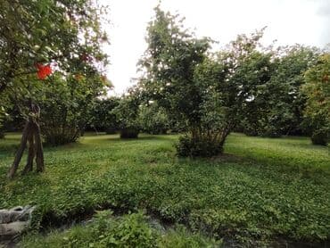 куплю дом в баку: 4 комнаты, 8700 м², Нет кредита, Средний ремонт — 11