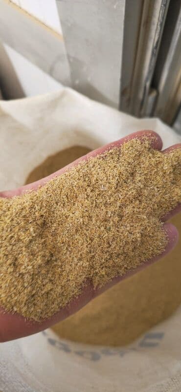 ağ balıq qiyməti: Düyü qabığı və narin kəpək 0.17 qəpikdən🌾 Təmiz, təbii və keyfiyyətli — 3