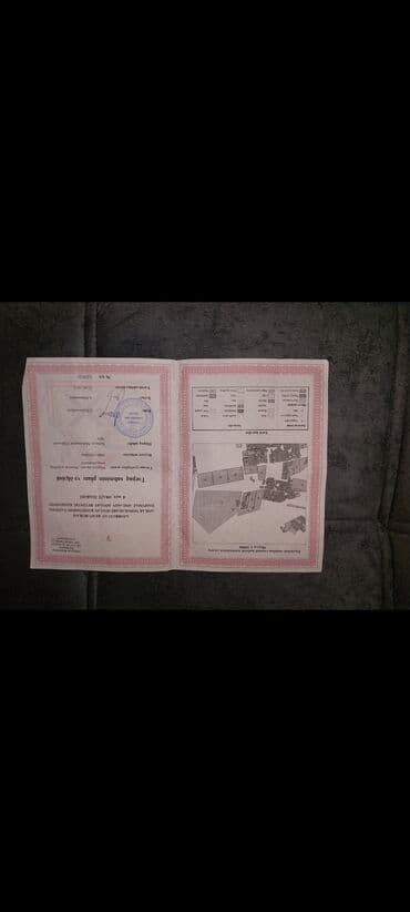 ev masazir: Tikinti — 19