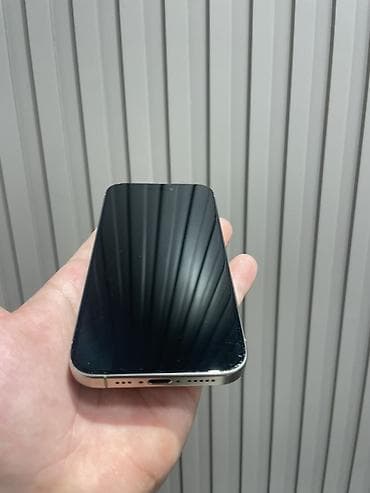 iphon xr: IPhone 15 Pro, 128 GB, Gümüşü, Simsiz şarj, Zəmanət, Face ID — 6