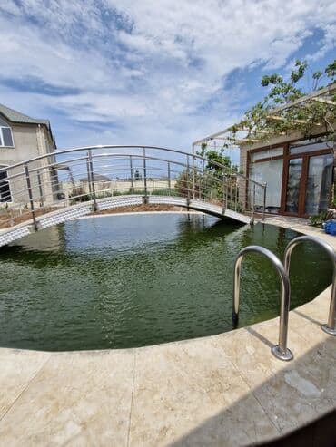 koya baliqlari: Qızıl balıq, Sülhsevər, Ünvandan götürmə — 4