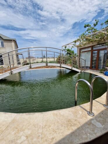 Gəmiricilər: Qızıl balıq, Sülhsevər, Ünvandan götürmə — 4