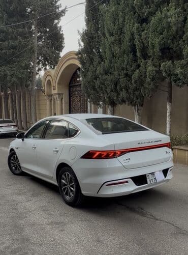 masin qaz: BYD Qin Plus DM-i sedan - Kuzov: ağ rəngli 4 qapılı sedan — 3