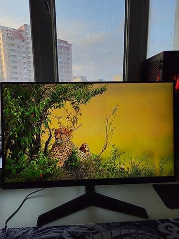 Monitor LG Ultragear 180hz IPS 1ms 24