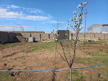 satilan obyektler: 10 sot, Tikinti, Bələdiyyə — 1