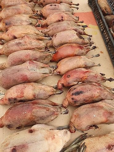 дистиллированная вода баку: Qaşqaldağ Bilənlər bilir necə dadlı olur Cəkisi gəlir 500 qram 600 — 8