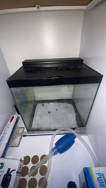 akvarium dirnaq: Dördbucaq akvarium, Boş, 25 l, Ödənişli çatdırılma — 4