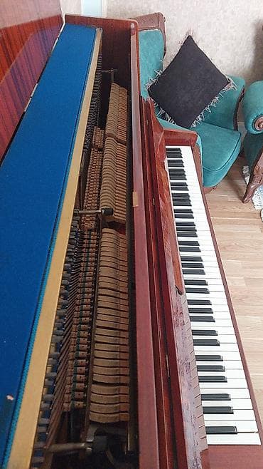 ucuz gitara: Piano, Belarus, Akustik — 2