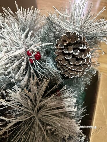 Buynuzlar: Yeni İl Ağacı satılır. 2il qabaq 420 manata alınıb. Yaxşı — 5