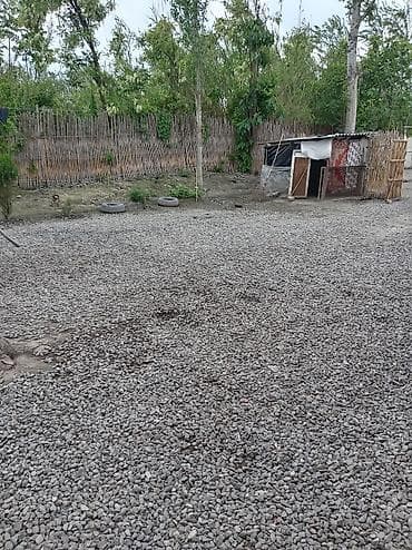 ikinci el barbi evi: Heyetde iki ev var 68sotdur baglari var qiymet 2000. Amma razilasma — 6