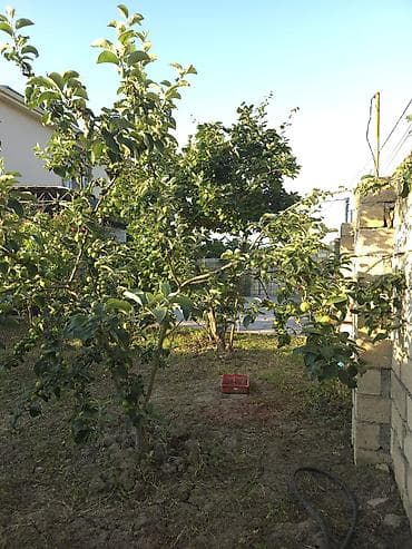 razin kiraye evler heyet: 86 kv. m, 6 otaqlı, İşıq — 7
