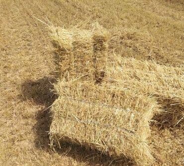 lal ordək yumurta: Preslənmiş ot satılılır, 1 ədədi 3,50 qəpik, 2-ci kosdur, 250 ədəd — 2