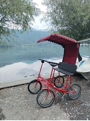 İki nəfərlik velomobil– dekorativ tentəli - Korpus: möhkəm metal