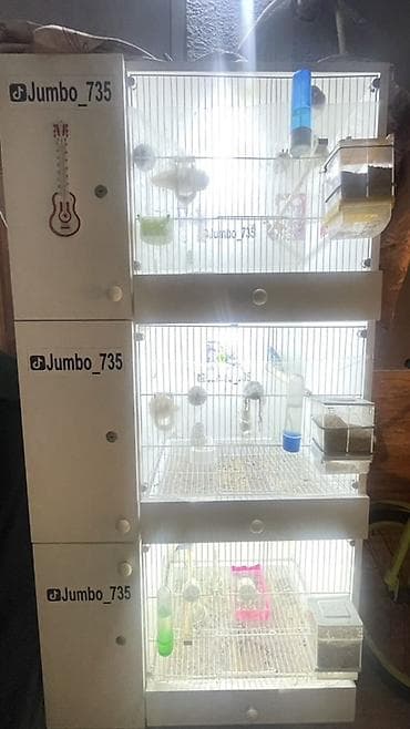 feniks quşu: Üçmərtəbəli quş qəfəsi kompleks sistemi - Model: Jumbo_735 etiketli — 1