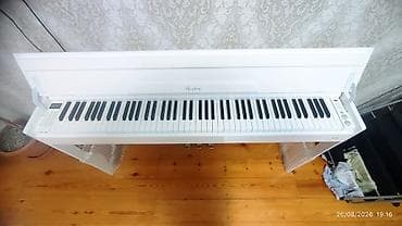 Piano, Kingsburg, Rəqəmsal, Yeni, Ünvandan götürmə — 2