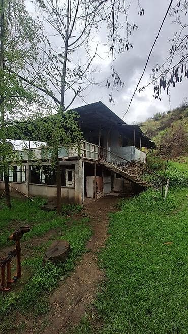 əmircanda ev: Dağ ətəyində yerləşən FERMA 2 hektar erazi iribuynuzlu ve — 4