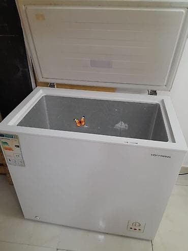 irshad electronics soyuducular: Qapalı dondurucu — 1