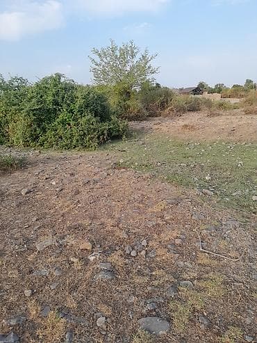 zigda torpaq qiymetleri: Tikinti — 2