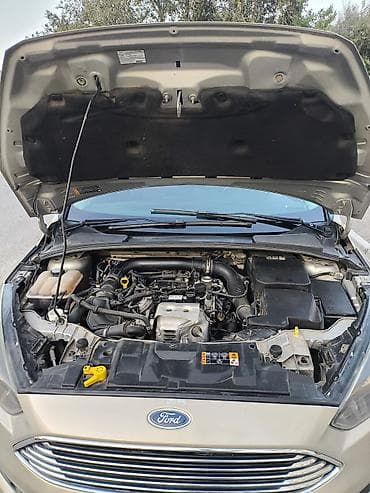 man sat: Ford Focus: 1 l | 2016 il 200000 km Hetçbek — 10