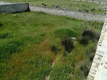 lehis baglari: 5 sot, Mülkiyyətçi — 3