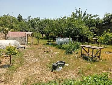 sumqayitda ev: 6 sot, Tikinti, Makler, Kupça (Çıxarış) — 3