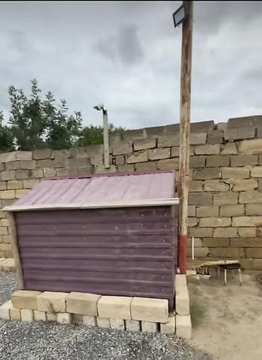 Heyvanlar: Satılır: Hündür damlı quşxana/kümes - Material: metal profilli karkas — 1