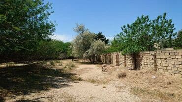 bir sot torpaq nece metrdir: 25 sot, Tikinti, Makler, Kupça (Çıxarış) — 4