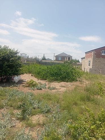 nardaranda: 13 sot, Tikinti, Mülkiyyətçi, Kupça (Çıxarış) — 2