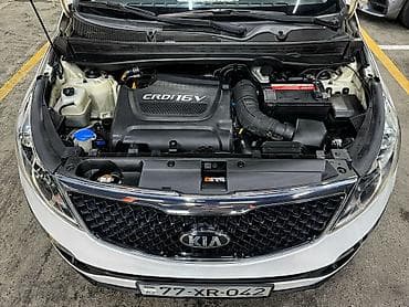 lizing avtomobiller: Kia Sportage: 2 л | 2013 г. Внедорожник — 7