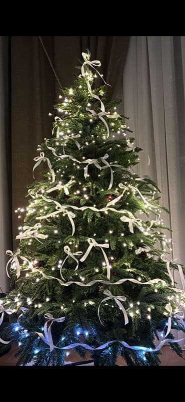 Vazalar: 1.50 yolka 80 azn — 2