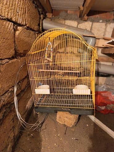 клетки для кур несушек купить в бишкеке: Клетки — 2