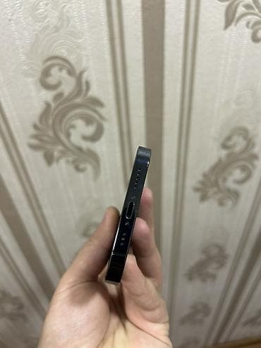 appel: IPhone 12 Pro, Göy, Face ID — 7