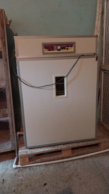 домашний инкубатор: 1100 яиц, Китай, Для всех видов птиц — 1