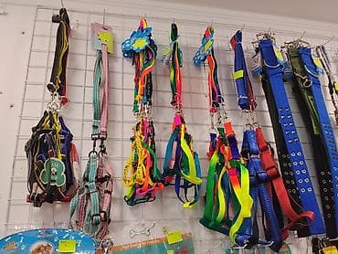 Digər heyvanlar: İt və pişiklər üçün müxtəlif ölçüdə və rəngdə xalta, aşennik, şleyka — 5