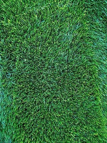 xan cinarı: Qazon Sifariş ede bilersiz rayonlara sifariş götürülür — 5