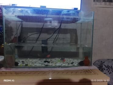 Dördbucaq akvarium, Balıqlarla birlikdə, 35 l, Ünvandan götürmə